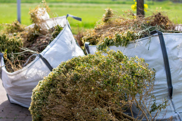 Best Yard Cleanup Services  in Queen Anne, MD