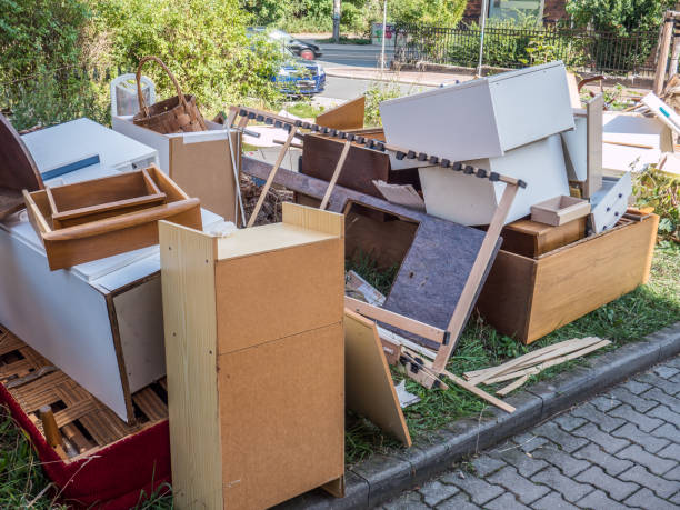 Yard Cleanup Services in Queen Anne, MD
